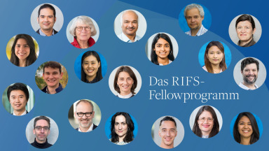 Das RIFS-Fellowprogramm